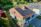 2022-05-02-Buchenweg-21-Spiez-Allenbach-andremaurer-ch-0125-HDR