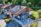 2022-05-02-Buchenweg-21-Spiez-Allenbach-andremaurer-ch-0176-HDR